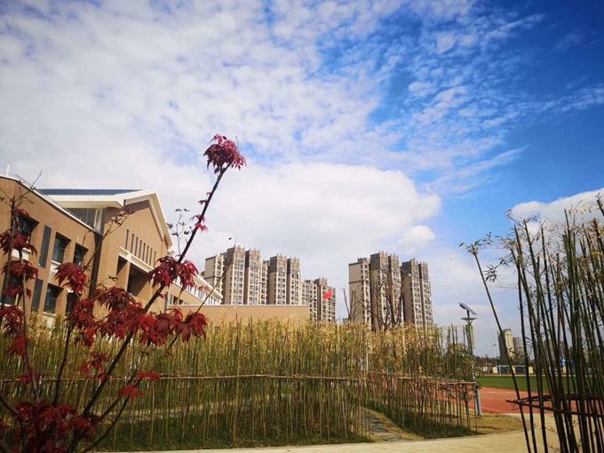 20200831114651272 20200831114651272