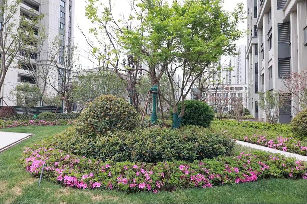 ��ͨ�㵱������������ȫ������824�װ��ܷ�����������