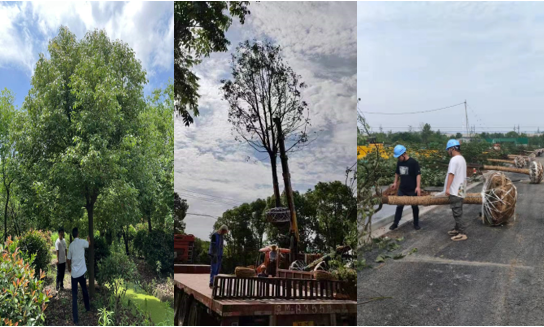 �깤���̳�2�ŵؿ������辶����¸߶�