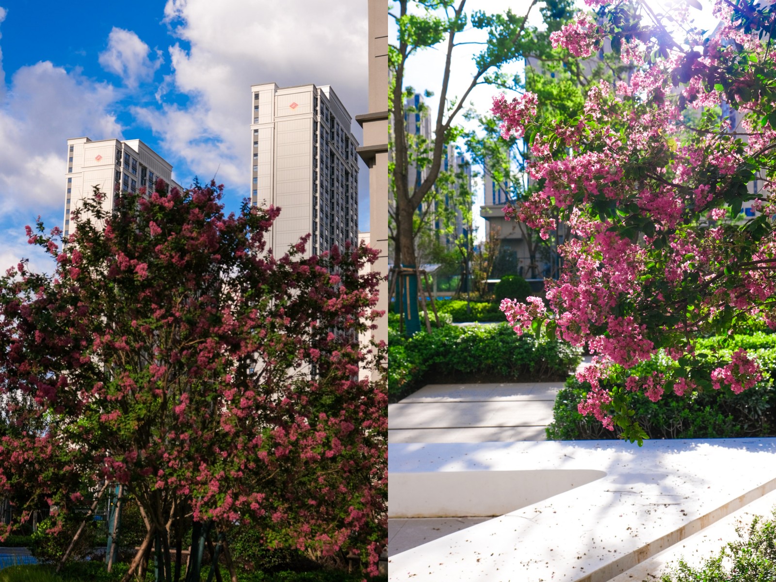 ̨�����������һ��������Ŀbe like��ͼ˵���ܷ���