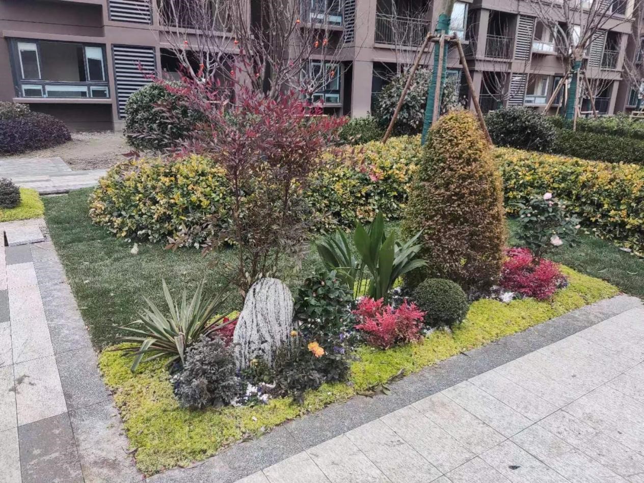 20240122050143693 雄州2551套包管房基本完工